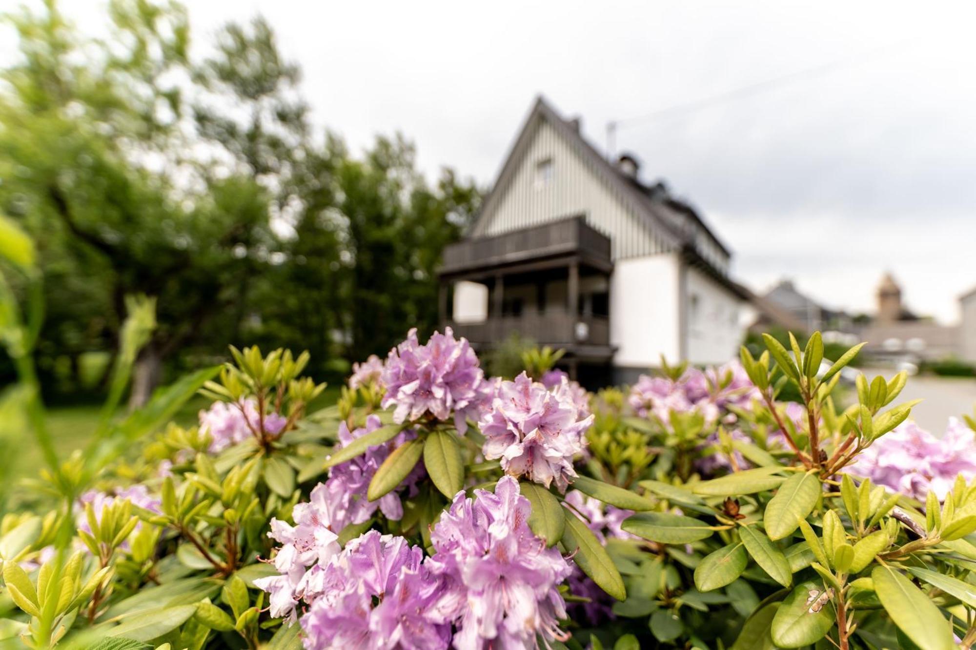 Ferienwohnung Haus An Der Lenne Ленещат Екстериор снимка